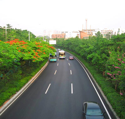 深圳市政道路園林綠化施工